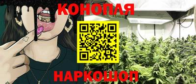 трава Кинель