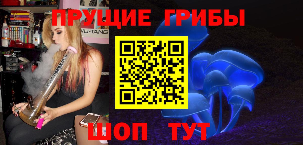 Галлюциногенные грибы Psilocybine cubensis Добрянка