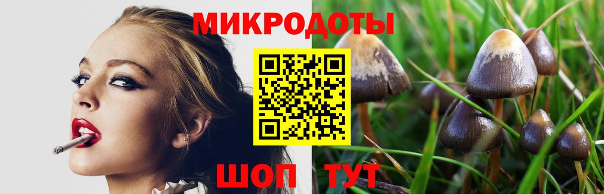 Добрянка  как найти закладки  Вход с VPN  Псилоцибиновые грибы Cubensis 